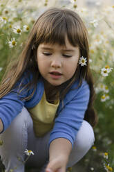 Neugieriges Mädchen, das auf einer Wiese hockend mit Blumen spielt - SSGF00290