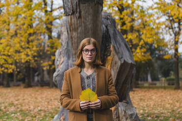 Serious young woman holding autumn leaf in park - MGIF01128