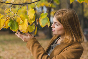 Young woman touching autumn leaves in park - MGIF01134