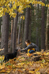 Frau streichelt Hund im Herbstwald - MRRF01714
