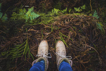 Woman in boots standing on leaves in forest - AFVF09252