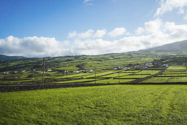 Blick auf eine grüne Landschaft, Insel Terceira, Azoren, Portugal - AFVF09257