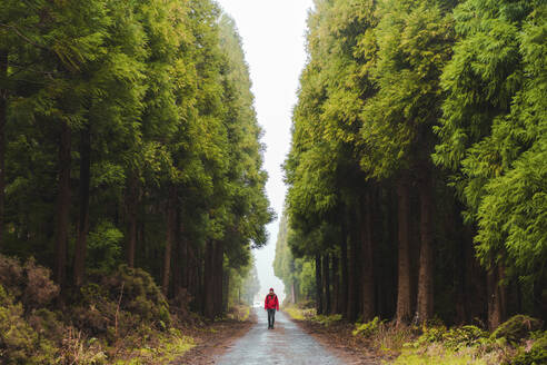 Young man hiking at woodland - AFVF09268