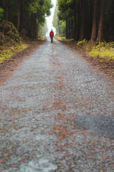 Man on forest road amidst trees - AFVF09269