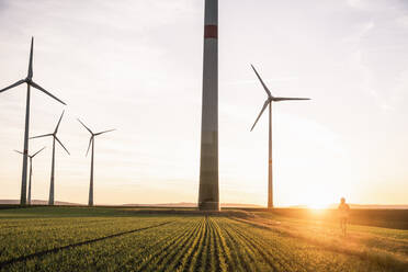 Ingenieur beim Spaziergang im Windpark - UUF25099