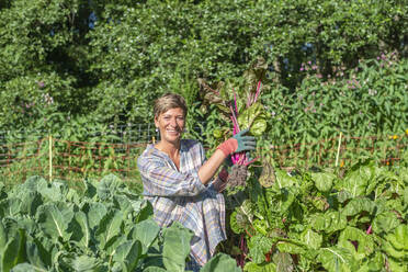 Smiling farm worker holding fresh chard in vegetable garden - BFRF02367