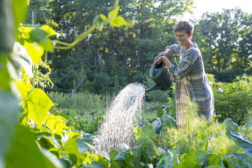 Smiling woman watering vegetables in organic farm - BFRF02379
