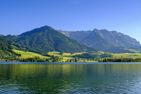 Aussicht auf den Walchsee im Sommer - LBF03541