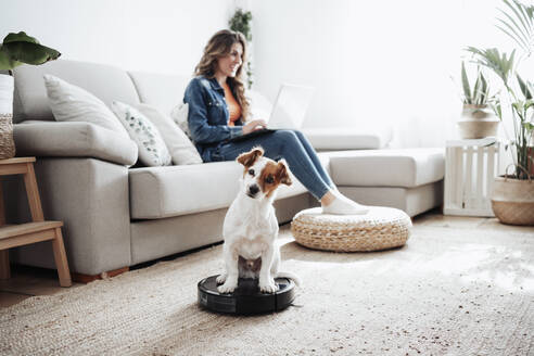 Jack Russell Terrier sitzt auf einem Staubsauger mit einer Geschäftsfrau, die einen Laptop im Hintergrund benutzt - EBBF04906