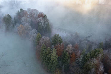 Drohnenansicht eines in Morgennebel gehüllten Herbstwaldes - LBF03558