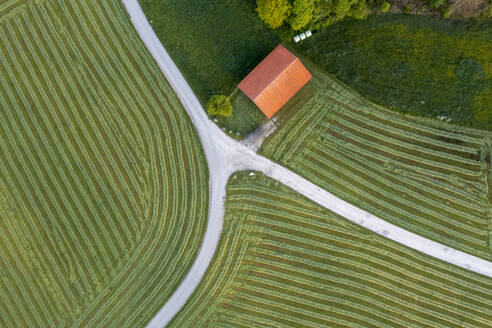 Drone view of green freshly mowed field - LBF03570