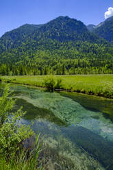 Fluss Amper im Sommer mit bewaldeten Bergen im Hintergrund - LBF03574