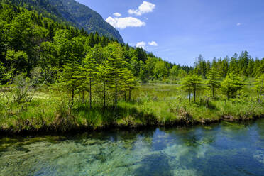 Fluss Amper im Sommer mit bewaldeten Bergen im Hintergrund - LBF03575