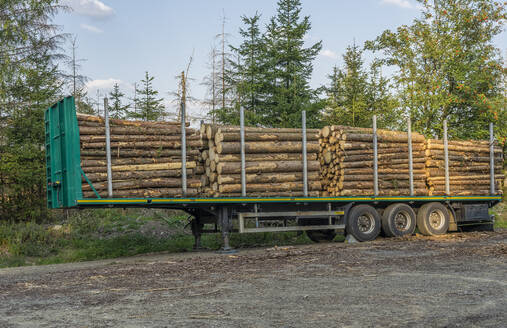 Log truck filled with timber cut in Harz National Park - PVCF01328