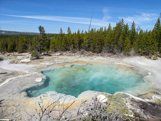 Emerald Spring im Norris Geysir Basin, Yellowstone National Park, UNESCO Weltkulturerbe, Wyoming, Vereinigte Staaten von Amerika, Nordamerika - RHPLF20816