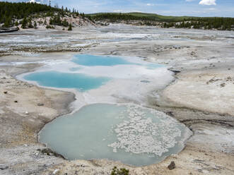 Porcelain Basin, im Gebiet des Norris Geysir Basin, Yellowstone National Park, UNESCO Weltkulturerbe, Wyoming, Vereinigte Staaten von Amerika, Nordamerika - RHPLF20819