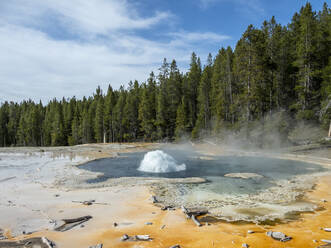 Solitary Geyser, im Gebiet des Norris Geyser Basin, Yellowstone National Park, UNESCO Weltkulturerbe, Wyoming, Vereinigte Staaten von Amerika, Nordamerika - RHPLF20822