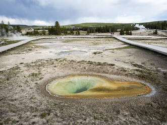 Belgian Pool, im Gebiet des Norris-Geysirbeckens, Yellowstone-Nationalpark, UNESCO-Welterbe, Wyoming, Vereinigte Staaten von Amerika, Nordamerika - RHPLF20823