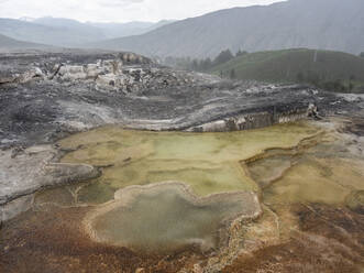 Mammoth Hot Springs Terrassen, Yellowstone National Park, UNESCO Weltkulturerbe, Wyoming, Vereinigte Staaten von Amerika, Nord-Amerika - RHPLF20826