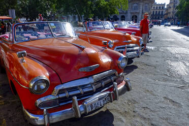 Klassische Oldtimer als Taxis, die auf Fahrgäste warten, Havanna, Kuba, Westindien, Mittelamerika - RHPLF20881