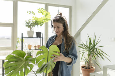 Frau spricht über Headset und besprüht Pflanzen zu Hause mit Wasser - JCCMF04661