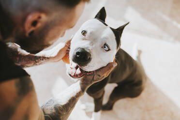 Mann sieht Hund auf dem Boden sitzend an - MIMFF00732