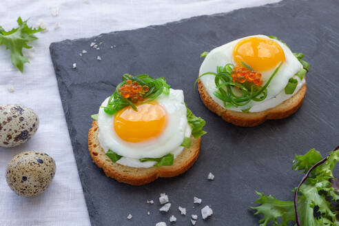 From above of appetizing canapes with crispy bread and fried quail eggs decorated with herbs and caviar served on gray board - ADSF31911