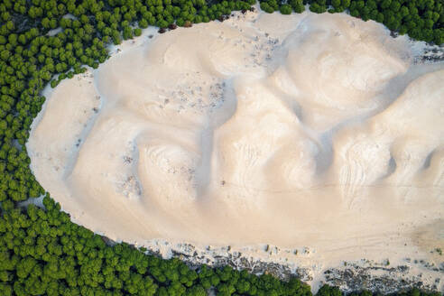 Aerial view of sand dune surrounded by forest in Bolonia, Andalusia, Spain. - AAEF13491
