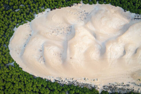 Luftaufnahme einer von Wald umgebenen Sanddüne in Bolonia, Andalusien, Spanien. - AAEF13491