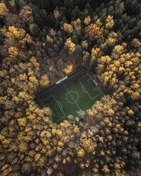 Aerial view of a football field in woodland at sunset in Moscow, Russia. - AAEF13506