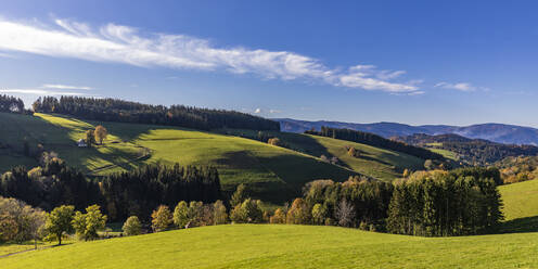 Panoramablick auf grüne Herbsthügel im Schwarzwald - WDF06681