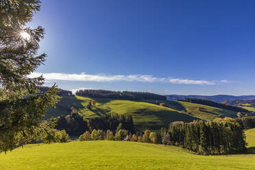 View of green autumn hills in Black Forest range - WDF06682