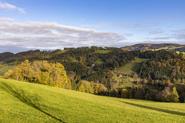 Blick auf herbstliche Hügel im Schwarzwald - WDF06685