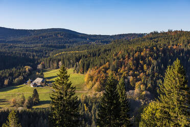 Einsames Bauernhaus im Schwarzwald im Herbst - WDF06687