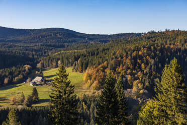 Lone farmhouse in Black Forest range during autumn - WDF06687