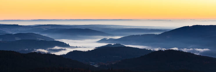 Morning fog shrouding forested landscape of Black Forest seen from Feldberg mountain - WDF06691
