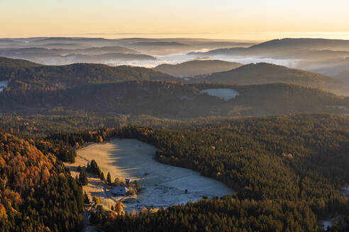 Einsames Bauernhaus im Schwarzwald an einem nebligen Herbstmorgen - WDF06693