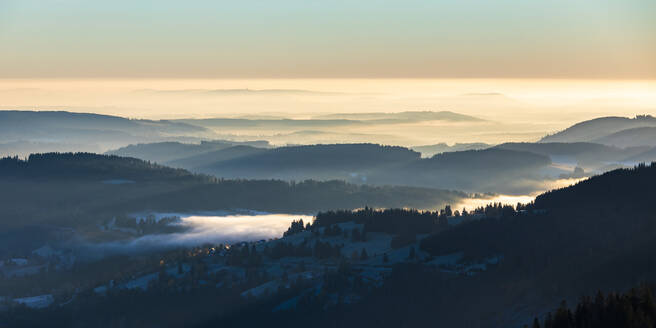 Morgennebel in der bewaldeten Landschaft des Schwarzwaldes vom Feldberg aus gesehen - WDF06694