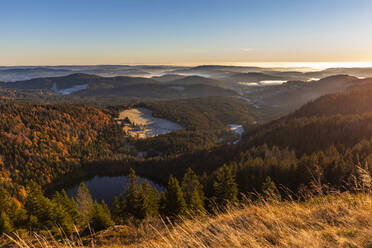 Feldsee vom Feldberg aus gesehen in der Morgendämmerung - WDF06695