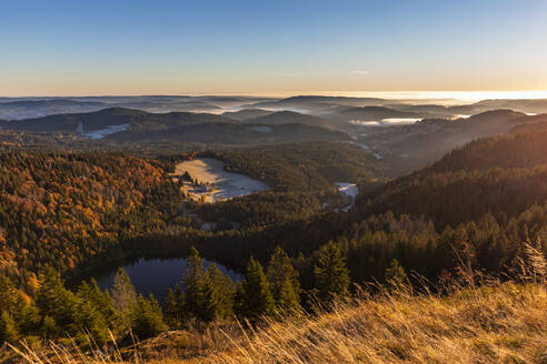 Feldsee vom Feldberg aus gesehen in der Morgendämmerung - WDF06695