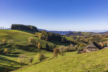 Black Forest range in autumn with secluded farmhouse in foreground - WDF06698