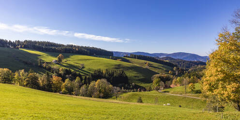 Panorama der Schwarzwaldkette im Herbst - WDF06699