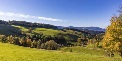 Panorama of Black Forest range in autumn - WDF06699