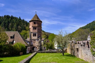 Deutschland, Baden Württemberg, Calw, Kloster Hirsau im Sommer - LBF03583