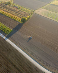 Aerial view of a tractor working in an agricultural field at sunset near Aquileia, Udine, Friuli Venezia Giulia, Italy. - AAEF13555