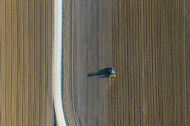 Aerial view of a tractor working in an agricultural field at sunset near Aquileia, Udine, Friuli Venezia Giulia, Italy. - AAEF13556