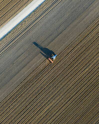 Aerial view of a tractor working in an agricultural field at sunset near Aquileia, Udine, Friuli Venezia Giulia, Italy. - AAEF13557