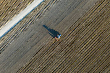 Aerial view of a tractor working in an agricultural field at sunset near Aquileia, Udine, Friuli Venezia Giulia, Italy. - AAEF13558