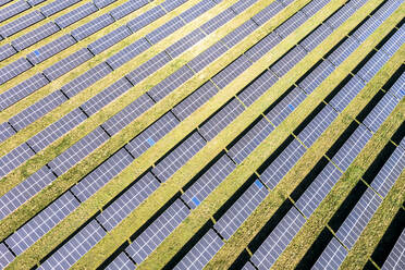Helicopter view of rows of panels of solar power station - AMF09340