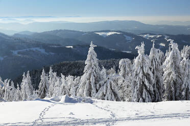 Blick von der Hornisgrinde im Winter, Schwarzwald, Baden Württemberg, Deutschland, Europa - RHPLF20928